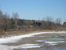 2003-04-11.0899.Guelph.jpg