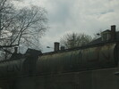 2003-05-01.1715.Guelph.jpg