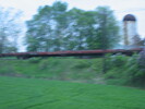 2003-06-03.2584.Puslinch.jpg