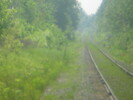 2003-06-10.2606.Waterdown.jpg