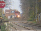 2003-11-01.5773.Guelph.jpg