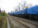 2003-11-01.5788.Guelph.jpg