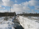 2004-01-18.6777.Puslinch.jpg