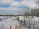 2004-01-18.6802.Puslinch.jpg