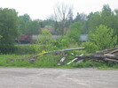 2004-05-21.2311.Ingersoll.jpg