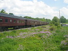 2004-06-05.2811.Flamborough.jpg