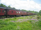 2004-06-05.2813.Flamborough.jpg