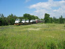 2004-06-29.3854.Port_Elmsley.jpg