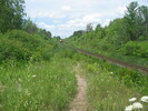 2004-07-14.5079.Scotch_Block.jpg