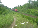2004-07-14.5213.Scotch_Block.jpg