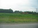 2004-07-17.5487.Zorra.jpg