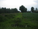 2004-07-17.5690.Creditville.jpg