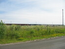 2004-07-25.6031.Belleville.jpg