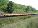 2004-09-12.8437.Scotch_Block.jpg