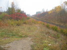 2004-10-23.1238.Scotch_Block.jpg