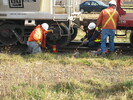 2004-11-05.2008.Guelph.jpg