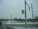 2005-01-08.5807.Guelph.jpg