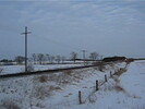 2005-01-20.6214.Drumbo.avi.jpg