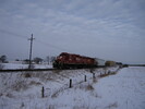 2005-01-20.6217.Drumbo.jpg