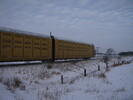 2005-01-20.6222.Drumbo.jpg