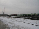 2005-02-06.1493.Guelph_Junction.jpg