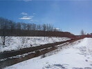 2005-03-08.2070.Scotch_Block.avi.jpg