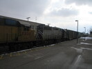 2005-03-11.2489.Guelph.jpg