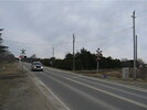 2005-04-01.2686.Arkell.avi.jpg