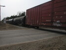 2005-04-05.2844.Guelph.jpg