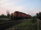 2005-06-27.7760.Puslinch.jpg