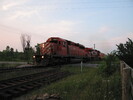 2005-06-27.7760.Puslinch.jpg