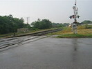 2005-07-14.8583.Guelph.avi.jpg