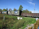 2005-09-30.1235.Guelph.jpg