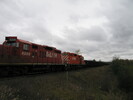 2005-10-25.2653.Puslinch.jpg