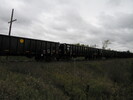 2005-10-25.2666.Puslinch.jpg