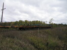 2005-10-25.2682.Puslinch.jpg