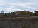 2005-10-29.2975.Parry_Sound.avi.jpg