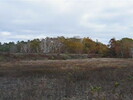 2005-10-29.3097.Parry_Sound.avi.jpg