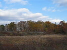 2005-10-29.3120.Parry_Sound.avi.jpg