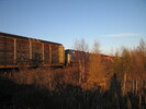 2005-11-11.4545.Puslinch.jpg