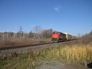 2005-11-12.4608.Scotch_Block.jpg
