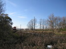 2005-11-12.4642.Guelph.jpg