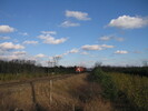 2005-11-19.5379.Puslinch.jpg