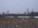 2005-12-31.1350.Puslinch.avi.jpg