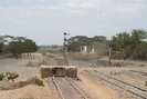 2006-02-11.5088.Naivasha.jpg