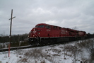 2006-02-13.5214.Puslinch.jpg