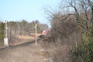 2006-03-04.6109.Puslinch.jpg