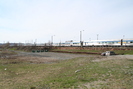 2006-04-29.9436.Capreol.jpg