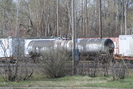 2006-04-29.9450.Capreol.jpg