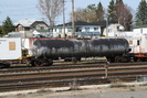 2006-04-29.9455.Capreol.jpg